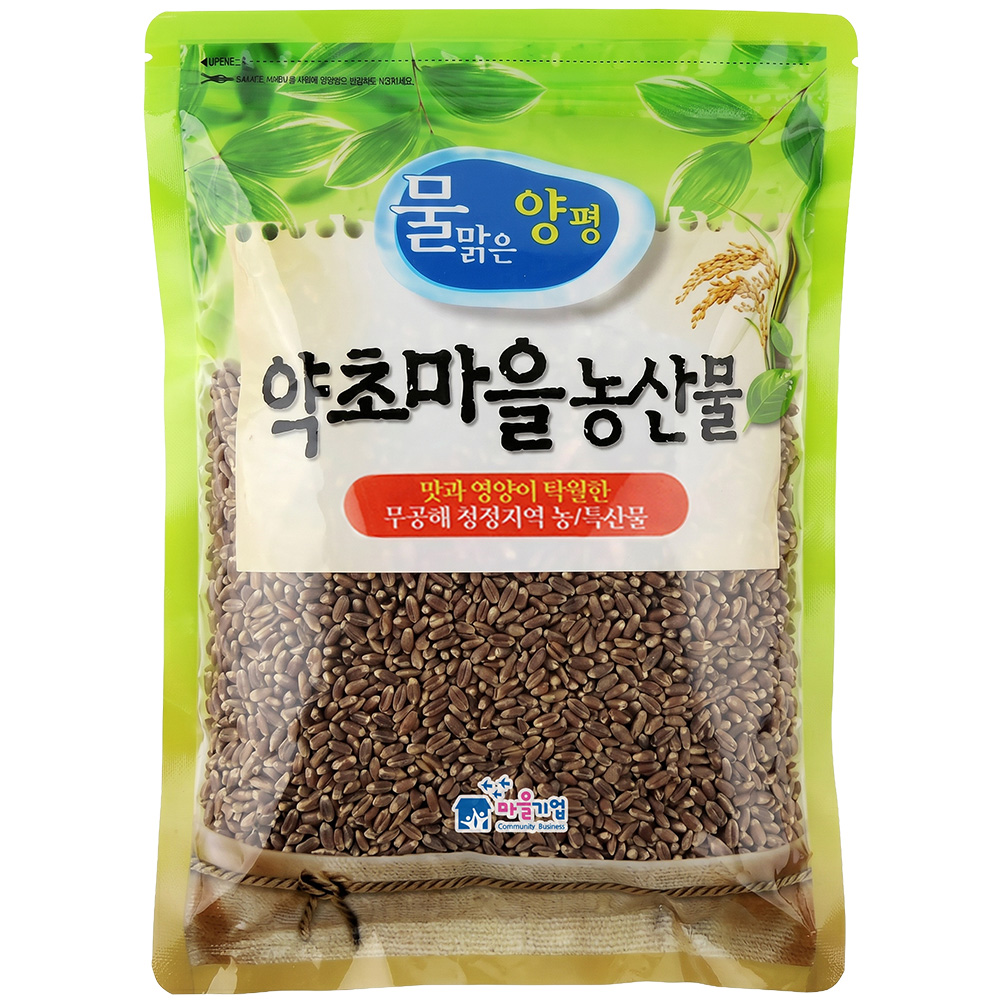 26년산 국산 아리진흑 통밀 새싹용 700g 새싹재배농촌진흥청 개발 유색밀 품종 